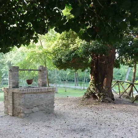 ベッド・アンド・ブレックファスト Il Patio Di Crecchio